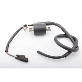 Kimpex External Ignition Coil