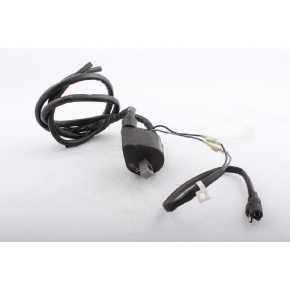 Kimpex External Ignition Coil