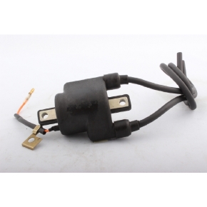 Kimpex External Ignition Coil