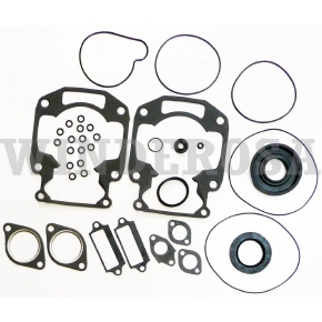 Winderosa Complete Gasket Sets with Oil Seals