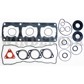 Winderosa Complete Gasket Sets with Oil Seals