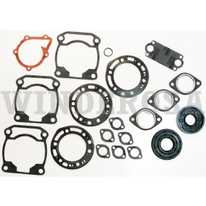 Winderosa Complete Gasket Sets with Oil Seals