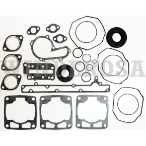 Winderosa Complete Gasket Sets with Oil Seals