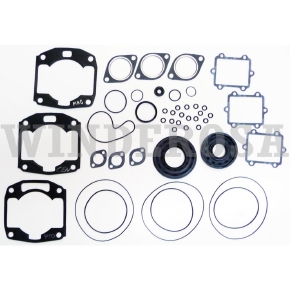 Winderosa Complete Gasket Sets with Oil Seals